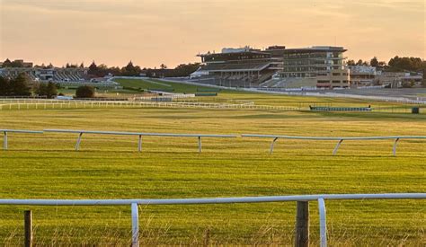cheltenham bookmaker offers